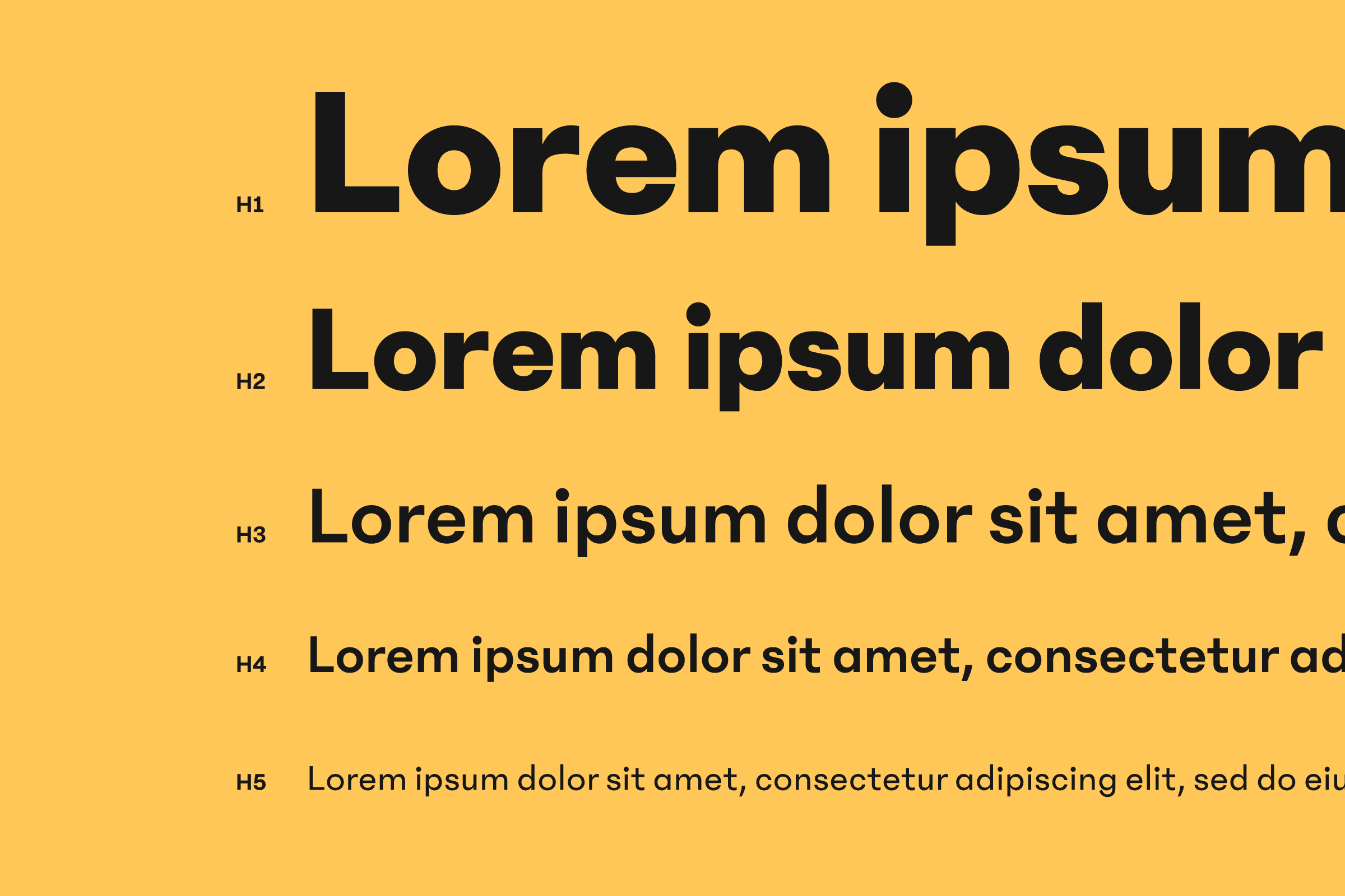 Lorem Ipsum text